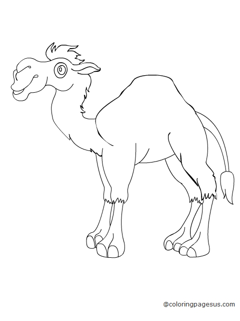 camel02 coloring page
