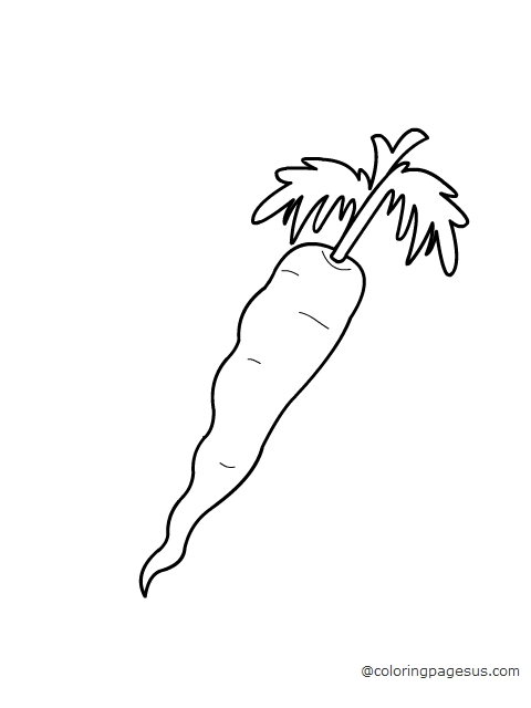 Carrot coloring page