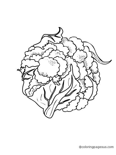 cauliflower02 coloring page