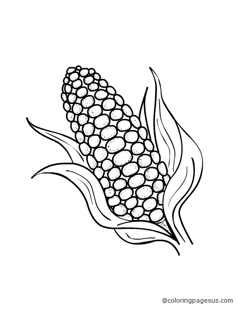 corn01 coloring page