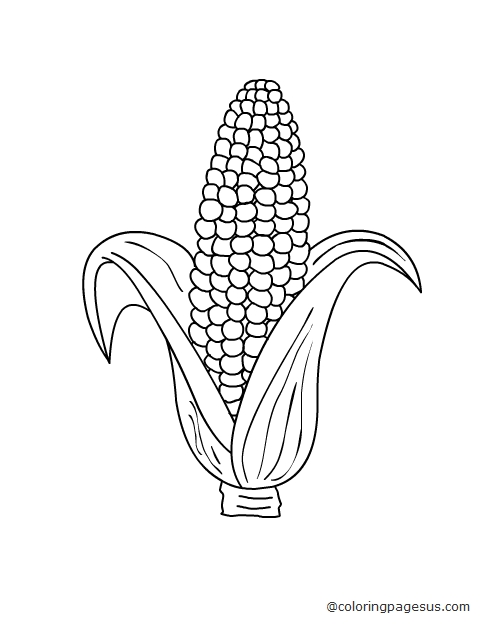 corn04 coloring page