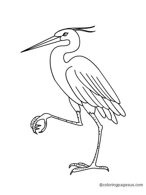 crane02 coloring page