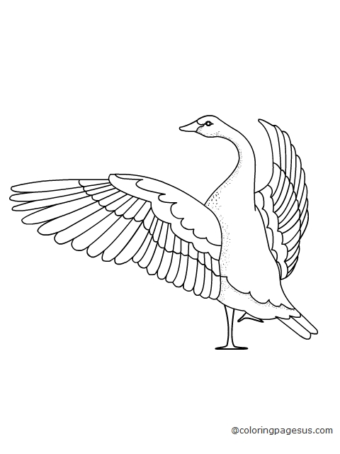goose01 coloring page