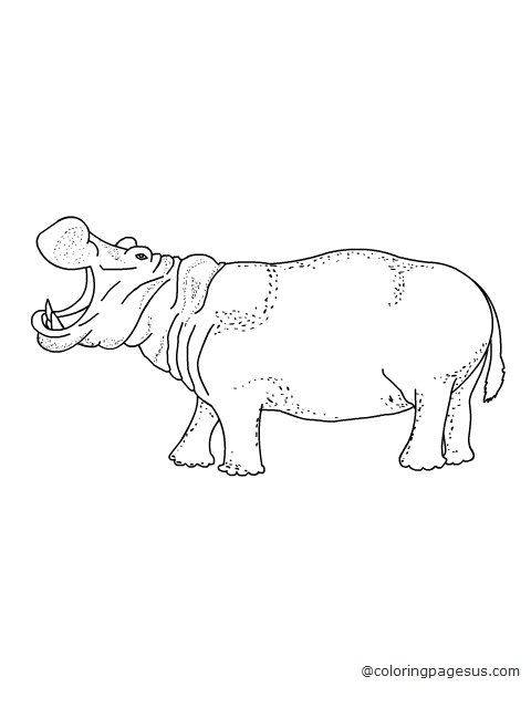 hippopotamus02 coloring page