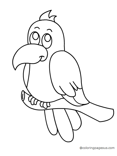 Cockatoo coloring page