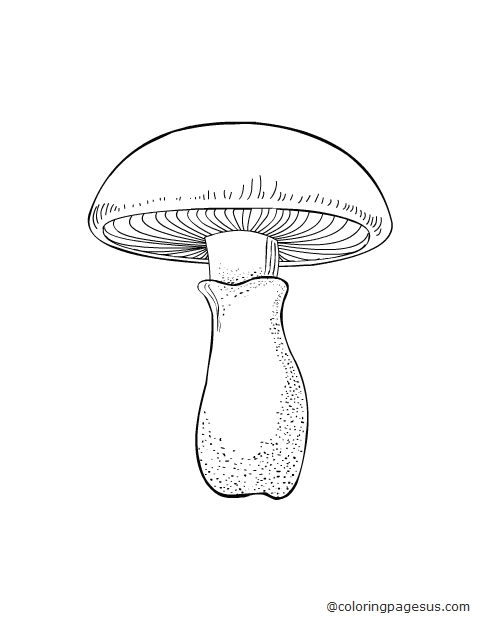 mushroom01 coloring page