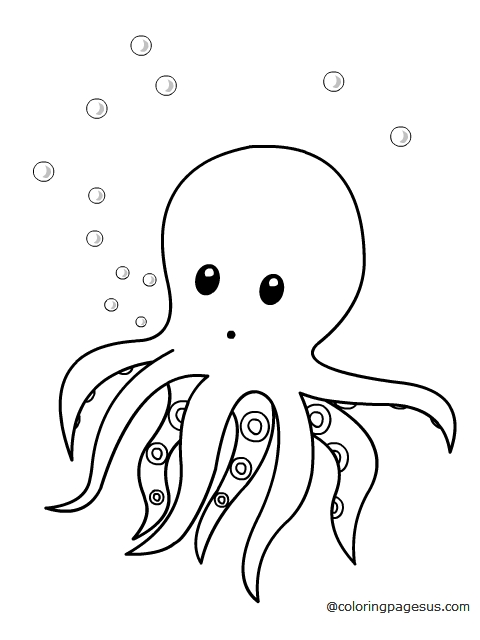 octopus04 coloring page