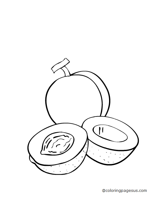 peach03 coloring page