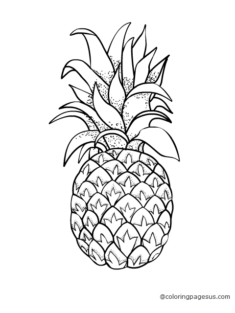 pineapple01 coloring page