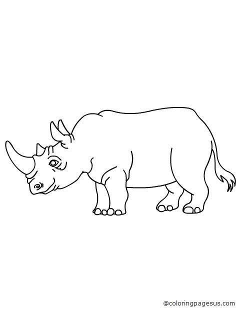 rhinoceros02 coloring page