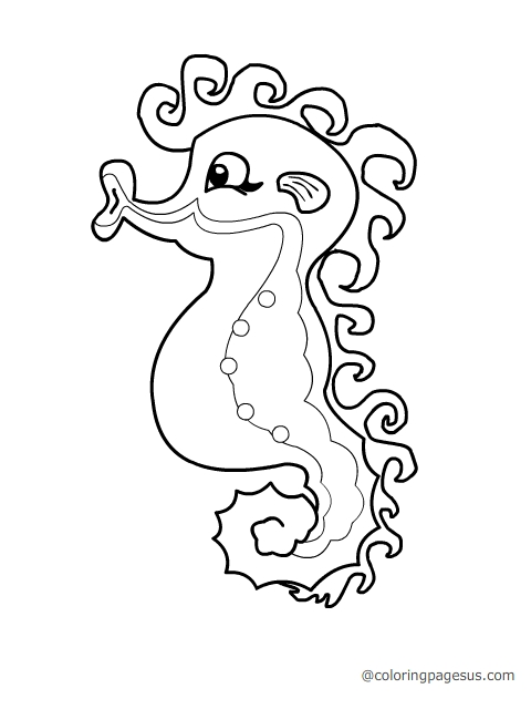 seahorse04 coloring page