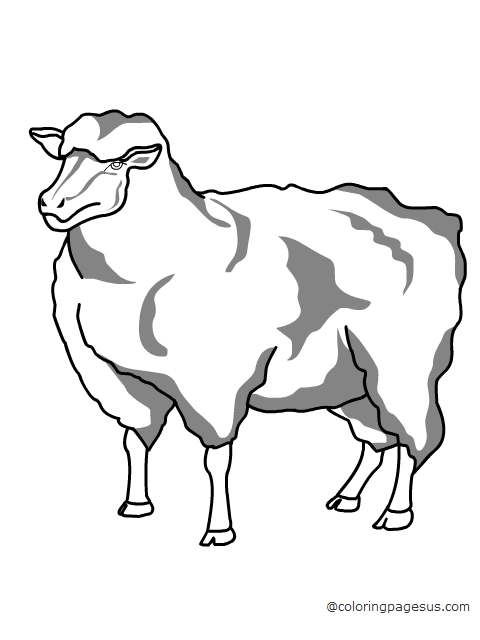 Sheep coloring page