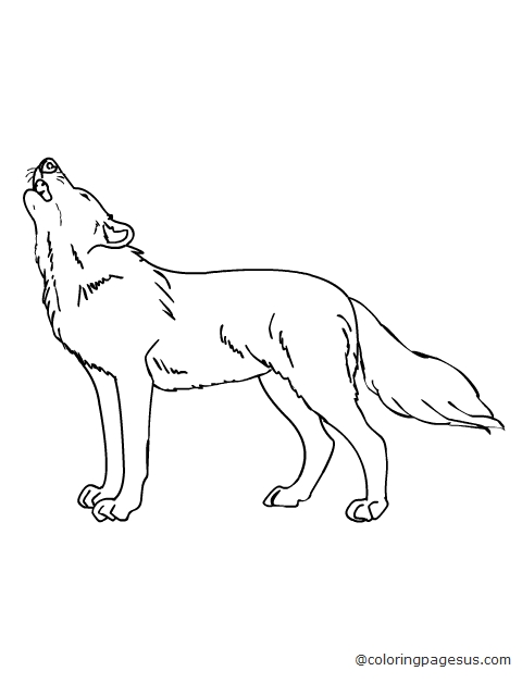 wolf03 coloring page