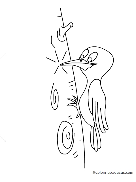woodpecker02 coloring page