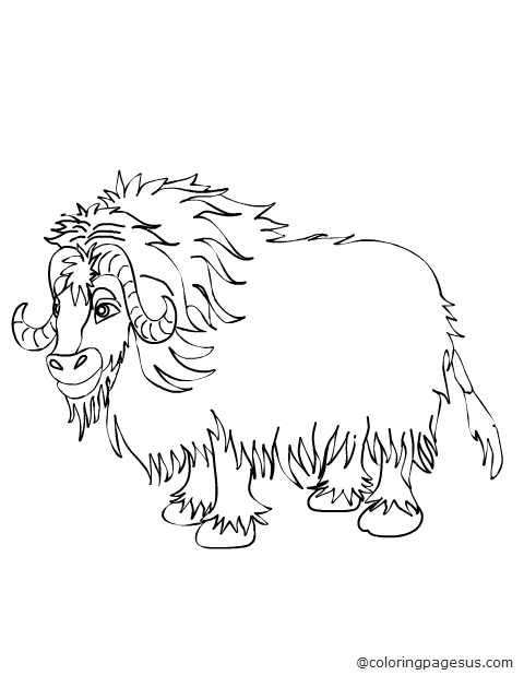 yak02 coloring page