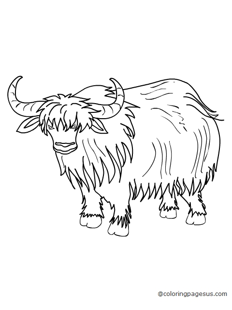 yak03 coloring page