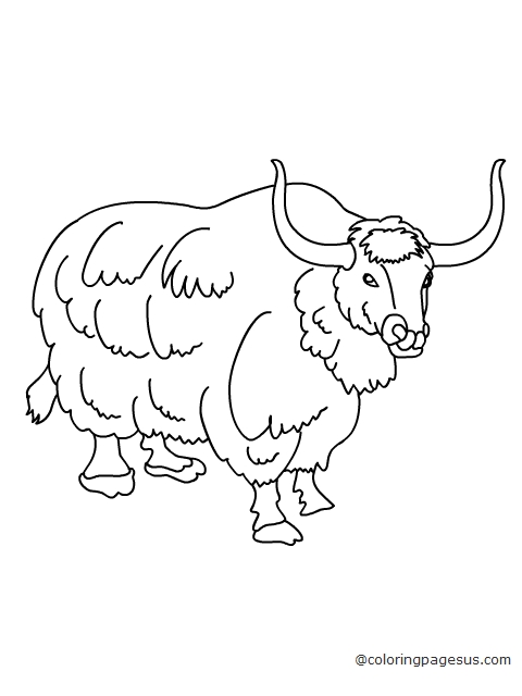 yak04 coloring page