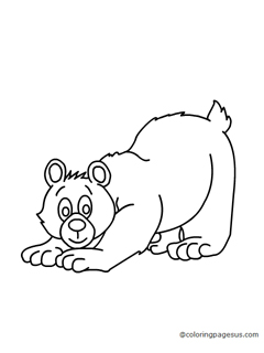 bear03 coloring page