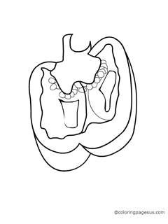 Bell Pepper coloring page