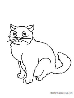 cat05 coloring page