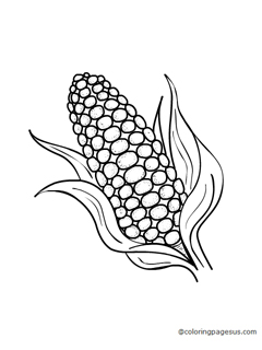 corn01 coloring page