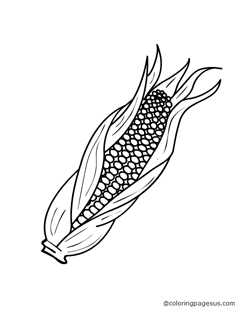 corn03 coloring page