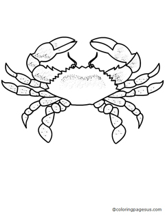crab02 coloring page