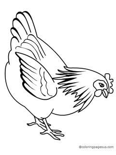 Hen coloring page