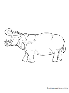 hippopotamus02 coloring page