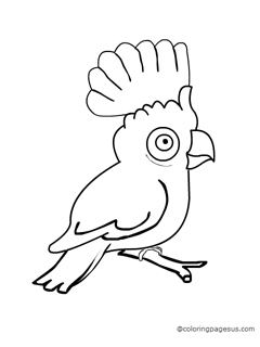 Cockatoo coloring page