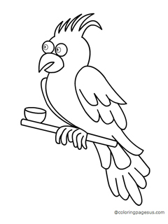 Cockatoo coloring page