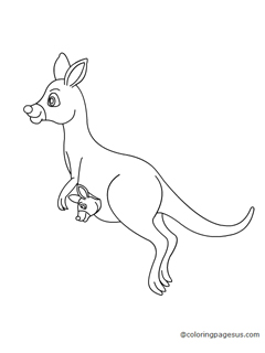 kangaroo03 coloring page