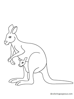 kangaroo04 coloring page