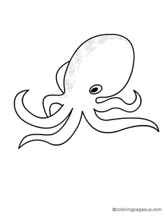 octopus05 coloring page
