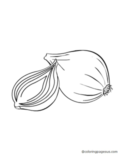 onion02 coloring page