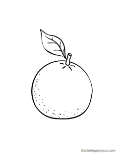 orange02 coloring page