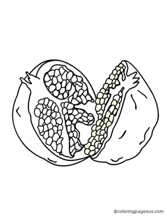 pomegranate02 coloring page