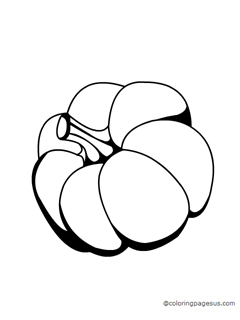 Pumpkin coloring page