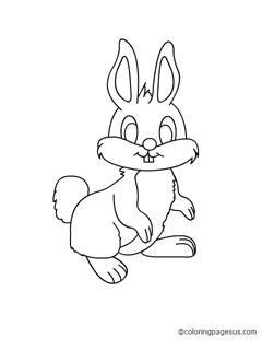 rabbit03 coloring page