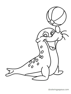 sealion04 coloring page