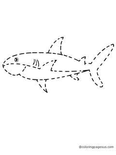shark05 coloring page