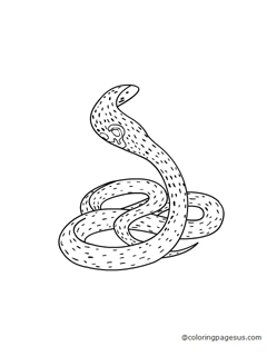 snake04 coloring page