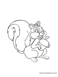 squirell01 coloring page