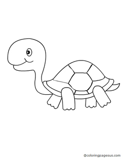 tortoise03 coloring page