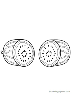 Watermelon coloring page