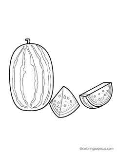 Watermelon coloring page