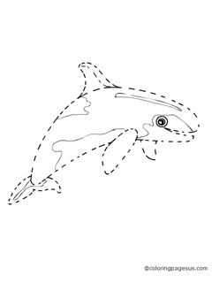 whale05 coloring page