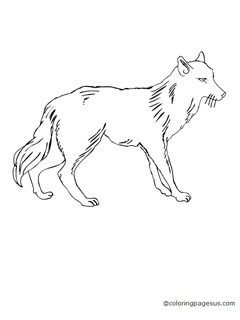 wolf02 coloring page