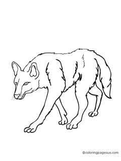 wolf04 coloring page